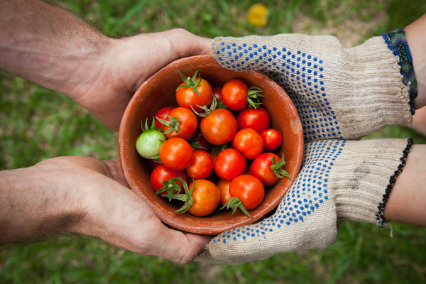 Revolutionizing Healthcare and Agriculture